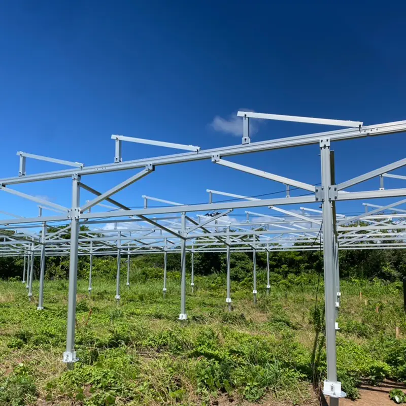 Mga solar farm: mga bituin sa hinaharap ng berdeng enerhiya