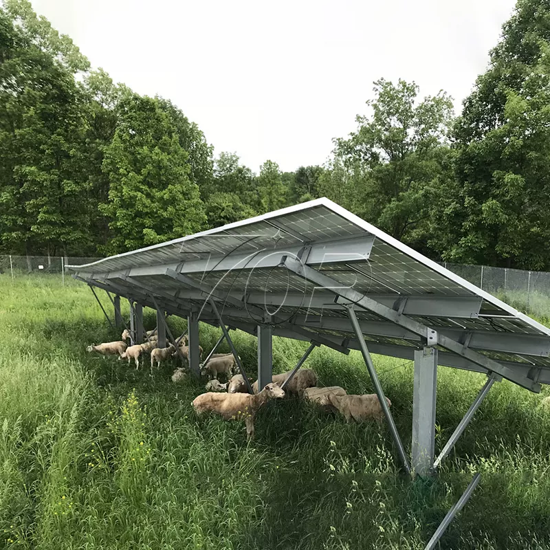Mga Solar Panel para sa Bukid: Pagtulong sa Pagpapanatili ng Enerhiya ng Agrikultura sa Mas Mataas na Antas!